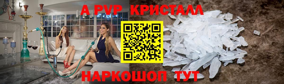 A PVP СК КРИС Гатчина