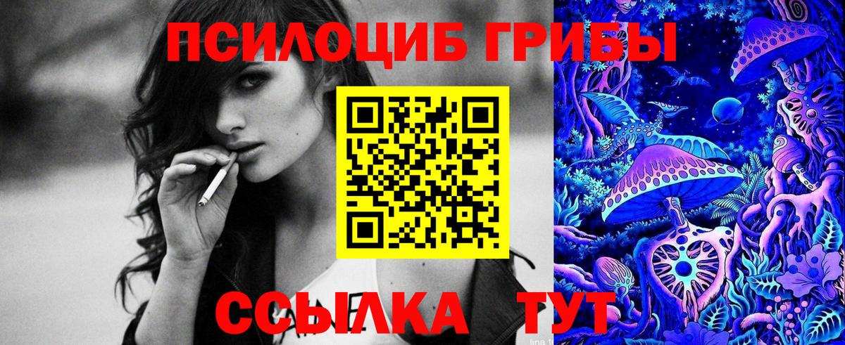 Гатчина  Псилоцибиновые грибы Cubensis  Вход с VPN  Псилоцибиновые грибы мицелий 