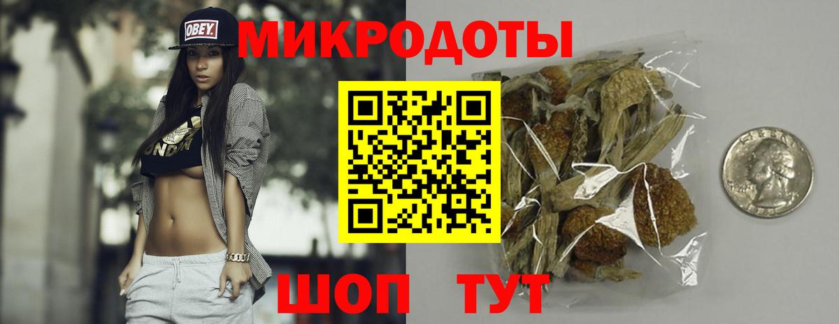 Псилоцибиновые грибы прущие грибы Гатчина