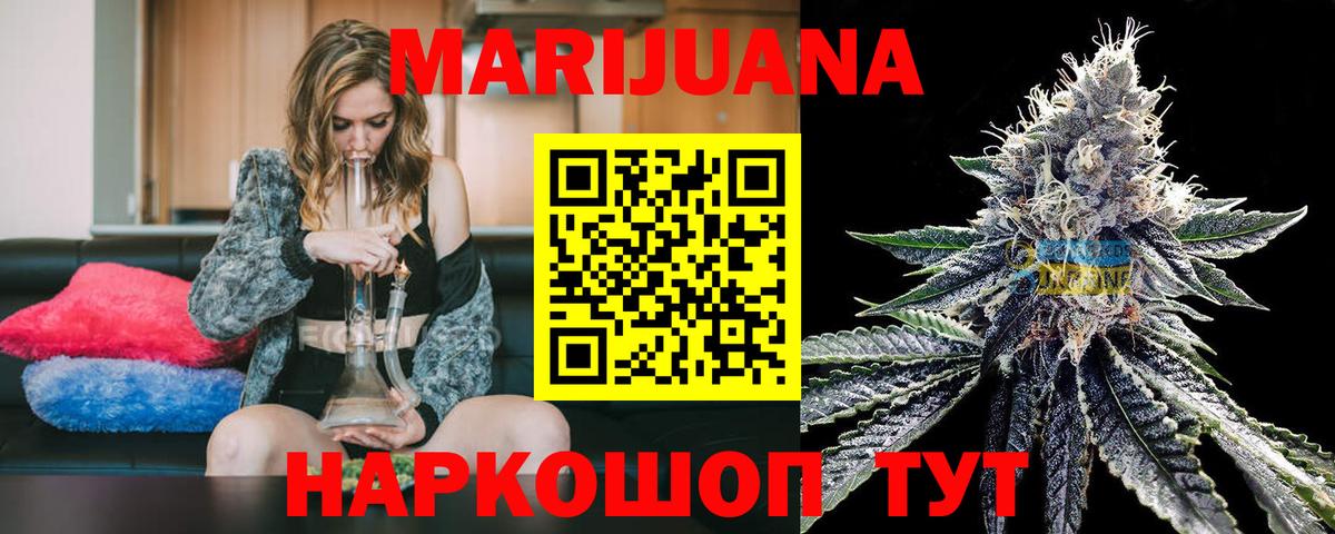 Каннабис сатива Гатчина